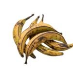 ripe plantain