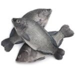 Frozen tilapia fish (whole) 2.5kg