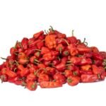 Fresh pepper