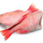 Red snapper (cut)