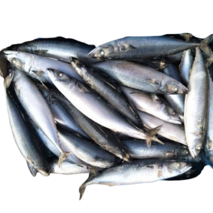 Thomson frozen fish